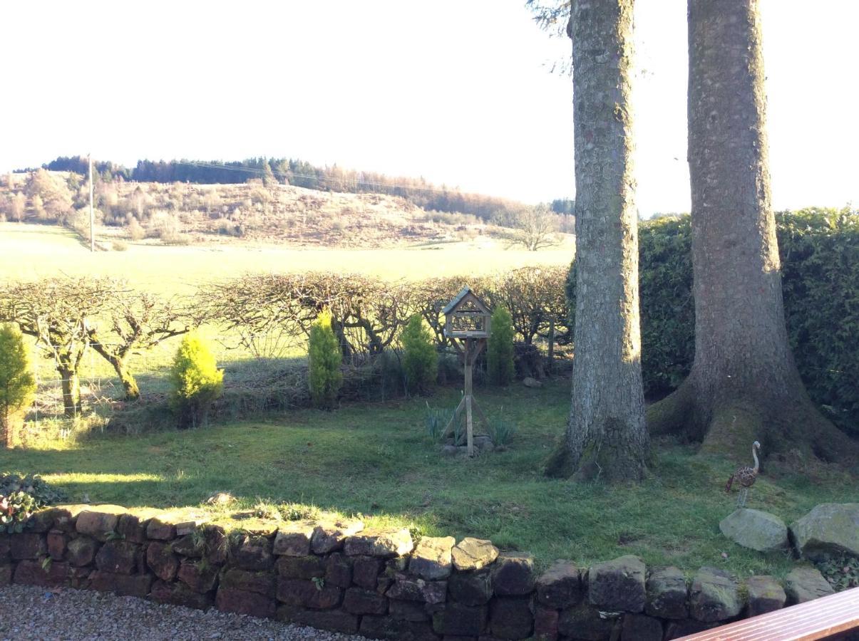 Heron Lodge, Edge Of Mabie Forest Dumfries Bagian luar foto